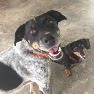 Meet your Posher, Tammy